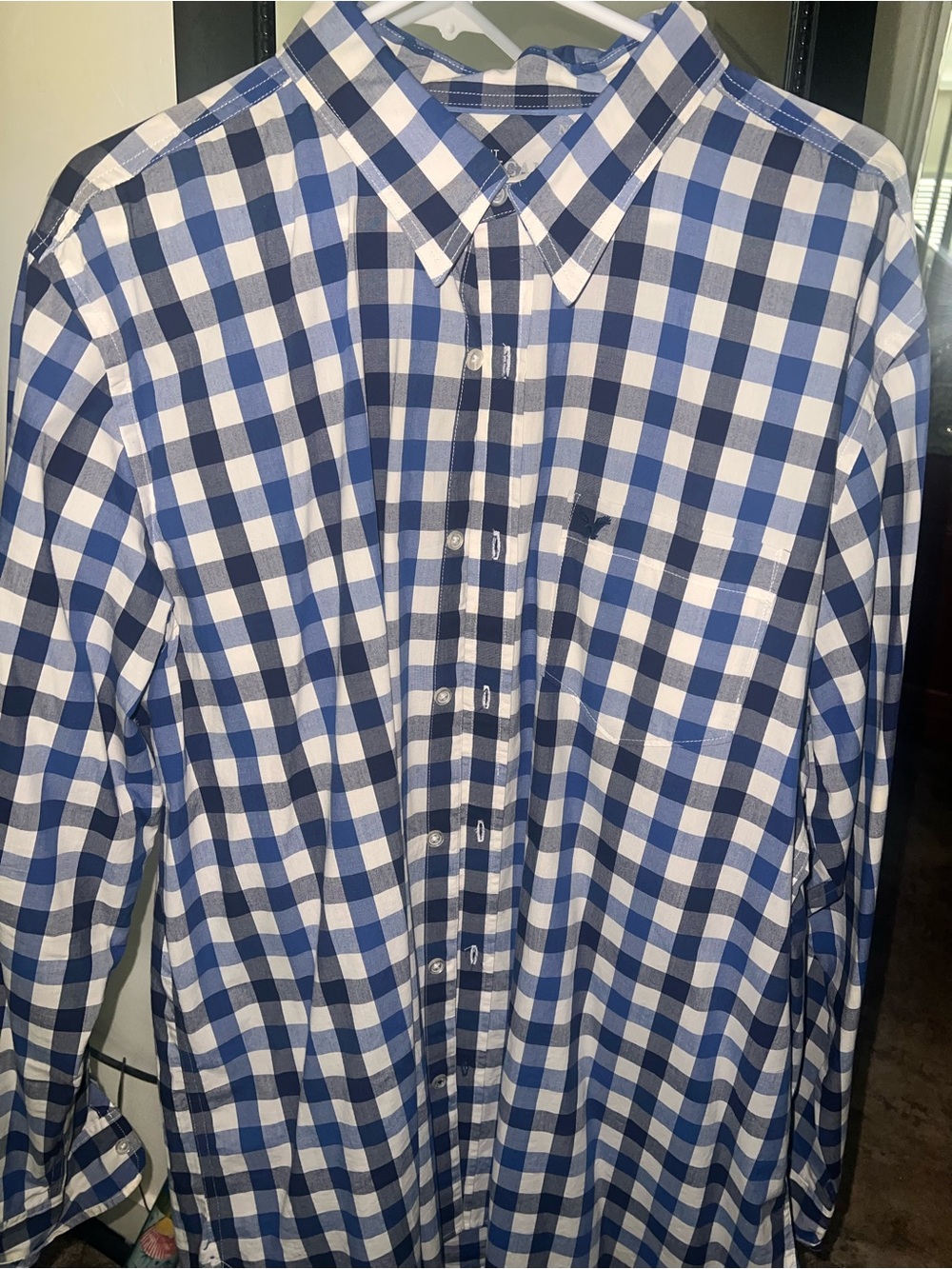 American Eagle Outfitters Blue and White Gingham Button-Down Shirt